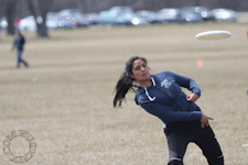 Cujo Ultimate 2018