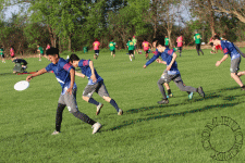 CHSUL   2019